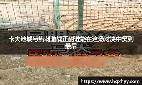 卡夫迪城与热刺激战正酣谁能在这场对决中笑到最后